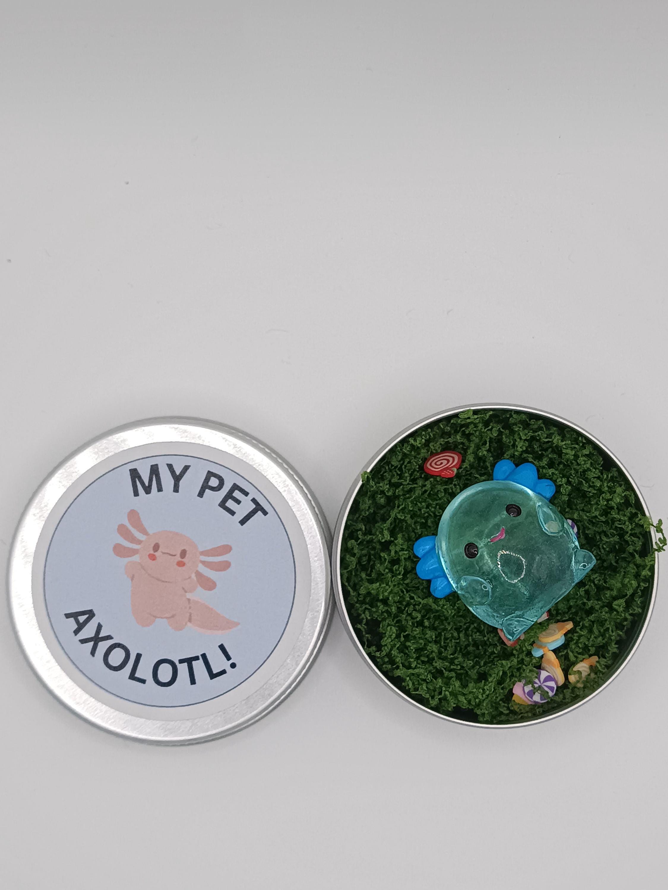 Pet Axolotl in a tin!