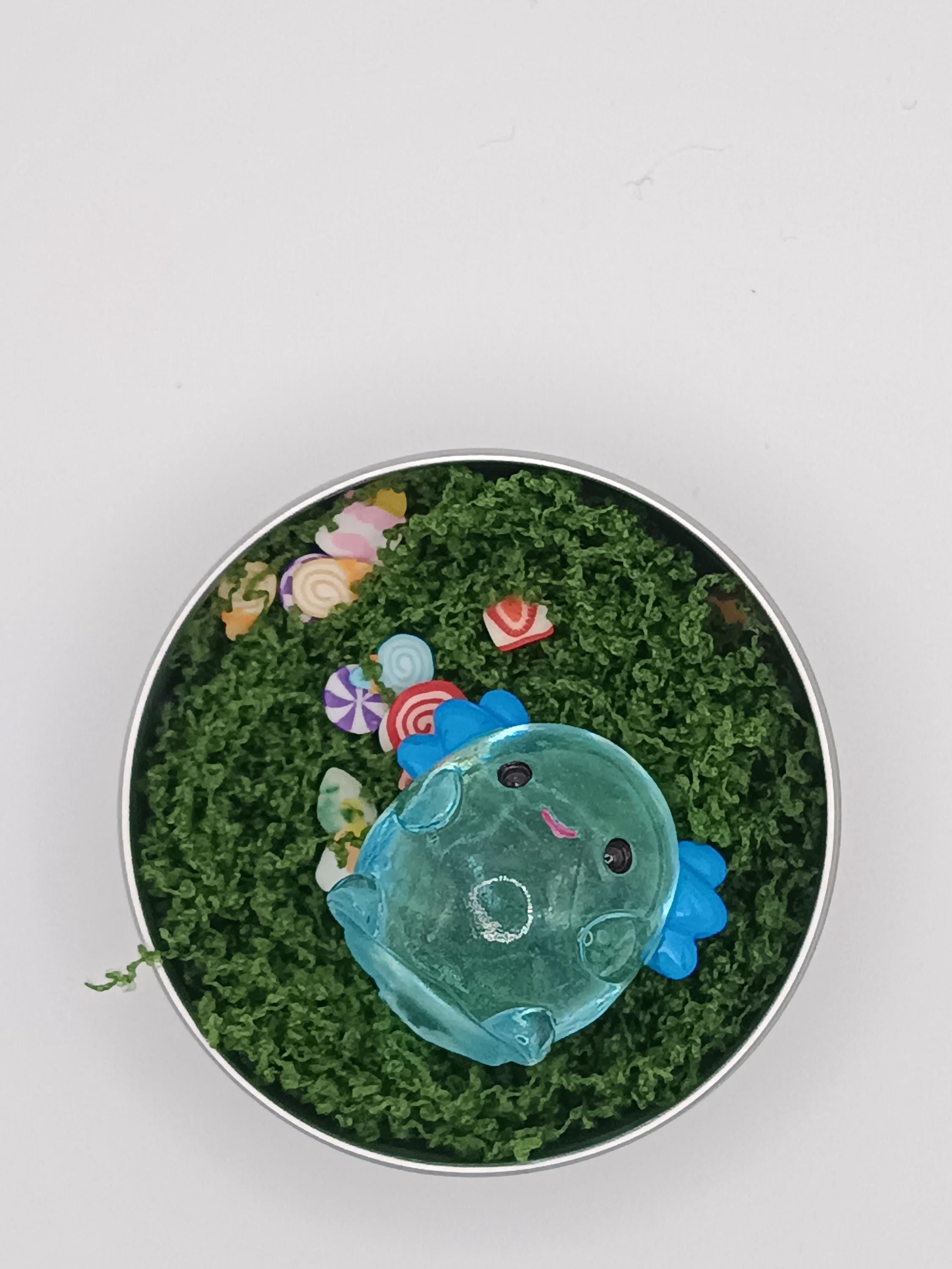 Pet Axolotl in a tin!