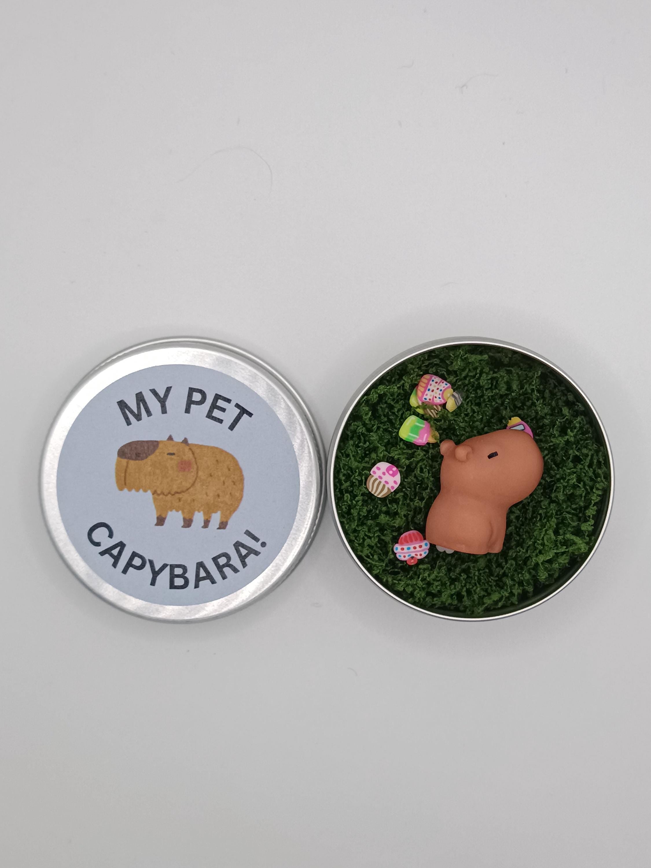 Pet Capybara in tin!